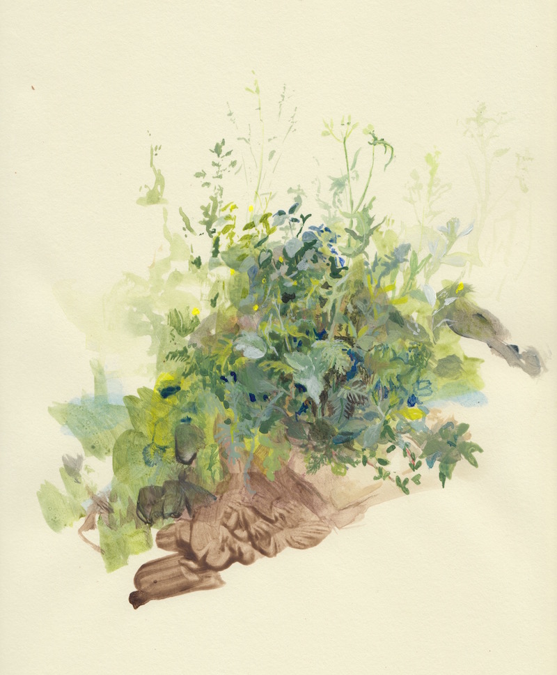 A watercolor painting of a clump of small weedy plants.